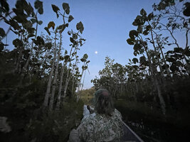Patrick Blanc at sunset under the huge Montrichardia linifera, Pilchi Cocha laguna, Orellana, Ecuador, Aug. 2021