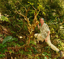 Patrick Blanc at the base of a giant Impatiens mirabilis, Langkawi, Malaysia, Jan 2013
