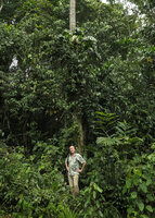 Patrick Blanc at the base of a mature flowering individual of Cercestis camerunensis climbing along a bare tree trunk at forest edge, Kribi, Cameroon, March 2017
