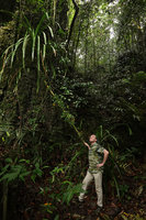 Patrick Blanc at the base of a monocaulous Pandanus producing vegetative plantlets all along its trunk, Maros, South Sulawesi, June 2019