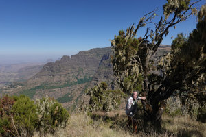 Patrick Blanc at the base of an old Erica arborea tree covered by Usnea lichens, Simien NP, Ethiopia, Jan. 2019