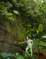 Patrick Blanc at the base of a permanently seeping rock covered in mosses, Suva, Viti Levu, Fiji, Aug. 2016