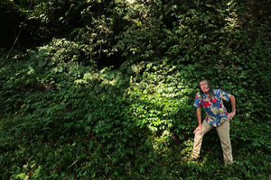 Patrick Blanc at the base of a seeping cliff covered bt Elatostema, Blitar, Java, May 2018