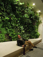 Patrick Blanc at the Gyre, Tokyo, April 2012