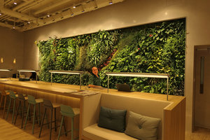 Patrick Blanc at the Work Project, Hong Kong, May 2017