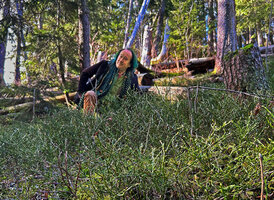 Patrick Blanc behind a dense population of Vaccinium myrtillus, Alps, France, March 2024