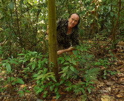 Patrick Blanc behind a vegetative population of the small erect shrubby Smilax calophylla, Bukit Timah NR, Singapore, Aug. 2016