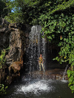 Patrick Blanc behind a waterfall in Botanic Gardens, Singapore, Aug. 2026