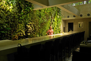Patrick Blanc behind the bar at Costume National Vertical Garden, Fukuoka, Sept. 2016