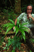 Patrick Blanc behind the fertile frond of a large form of Hemionitis ludens, Kaeng Krachan NP, Thailand, March 2022