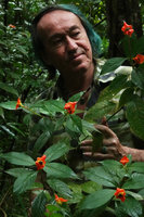 Patrick Blanc behind the flowering Psychotria elata,, Mountain Pine Ridge FR, Belize, Jan. 2020