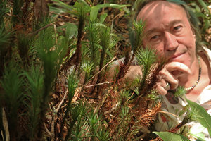 Patrick Blanc behind the giant moss Dawsonia cf. longifolia, Mt Kinabalu, Sabah, Borneo, Aug. 2018