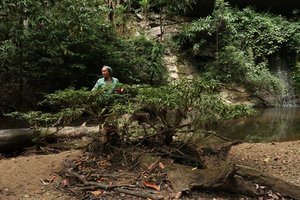 Patrick Blanc behind the rheophytic Myrmeconauclea strigosa, Gunung Mulu NP, Sarawak, Borneo, Sept. 2018