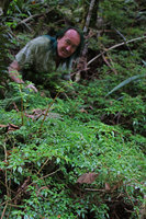 Patrick Blanc behind the shrubby Pilea urticifolia, Belouve, La Reunion, Oct. 2015