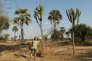 Patrick Blanc between Hyphaene petersiana and Euphorbia ingens, Liwonde NP, Malawi, Aug. 2017