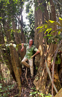 Patrick Blanc between the main trunk and the tree like basal offshoots of Dracaena maingayi, Bukit Timah NR, Singapore, Nov. 2023