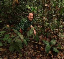 Patrick Blanc between three Dracaena species on two square meters, Dracaena cf. aubryana, Dracaena phrynioides and just behind Dracaena congoensis, Campo, Cameroon, March 2018
