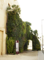 Patrick Blanc billboard explaining his concept of the Green Gate, Muharraq, Bahrain, Jan.2017
