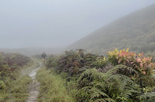 Patrick Blanc by a cloudy rainy day in the altitude scrubland, El Puntudo, Santa Cruz, Galapagos, Aug. 2021