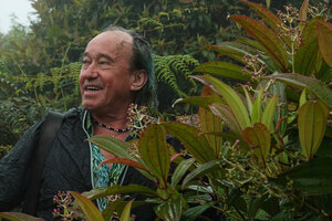 Patrick Blanc by a usual rainy day in Miconia robinsoniana and fern shrubland, El Puntudo, Santa Cruz, Galapagos, Aug. 2021
