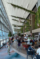 Patrick Blanc checking the growth of the plants on the blades and the walls in the Gourmet Garden at Terminal 2, Changi airport, Singapore, Sept. 2025