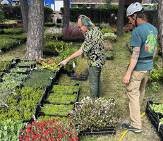 Patrick Blanc checking with Jérémie Vaivre the plants which will be installed of the vertical gardens at the new Oiken station, Sion, May 2026