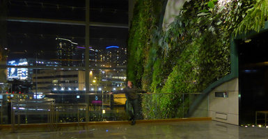 Patrick Blanc, city night illumination and Vertical Garden, Icon hotel, Hong Kong, Jan 2016
