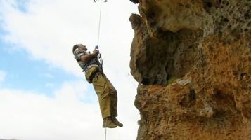 Patrick Blanc climbing along a vertical cliff to observe a Dorstenia gigas population, Socotra, March 2005