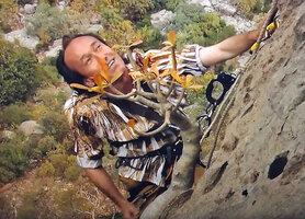 Patrick Blanc climbing along a vertical cliff to observe Dorstenia gigas in its habitat, Socotra, March 2005