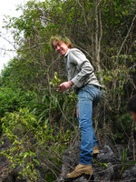 Patrick Blanc climbing among limestone rocks, Halong Bay, Vietnam, Jan. 2007