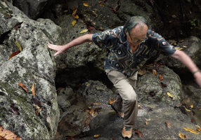 Patrick Blanc climbing among the limestone rocks, War Inkabom Waterfall, Batanta, West Papua, May 2025