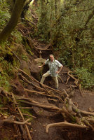 Patrick Blanc climbing among tree roots in the mossy forest, Gunung Brinchang, Cameron Highlands, Malaysia, May 2016
