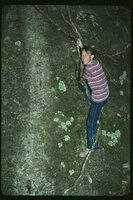 Patrick Blanc climbing on a vertical rock face to observe a population of Loxocarpus incanus, Penang Hill, Malaysia, Aug. 1984