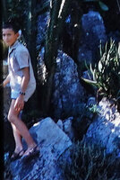 Patrick Blanc climbing on rocks in the Jardin Exotique, Monaco, Aug. 1964