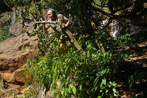 Patrick Blanc climbing on the rocks of a waterfall to observe Pilea melastomoides, Coonoor, Tamil Nadu, India, Jan. 2023