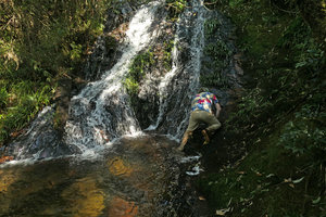 Patrick Blanc climbing on the slippery rocks to reach a small shaded waterfall whose rocks are covered by the rheophytic Acorus gramineus, Thac Tinh Yeu, Sapa, Vietnam, Nov. 2017