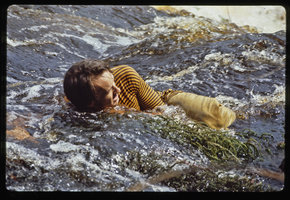 Patrick Blanc collecting herbarium specimens of Podostemaceae, Gabon, Dec. 1983