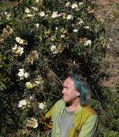 Patrick Blanc dazzled by strong sun light while observing Rosa abyssinica flowers, Simien NP, Ethiopia, Jan. 2019
