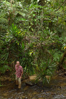 Patrick Blanc emerging from a much branched Freycinetia, Biausevu, Viti Levu, Fiji, Aug. 2016