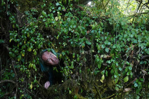 Patrick Blanc observing the epiphytic Peperomia abyssinica in the mossy Harenna forest, 2300 m asl, Bale NP, Ethiopia, Jan. 2019