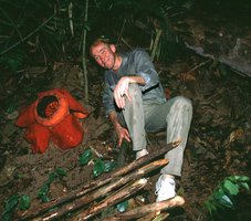Patrick Blanc et Rafflesia kerrii  -   Thailande, 31st Dec 1999