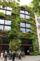Patrick Blanc explaining the growth habits and maintenance of plants, 12 years after plant installation, Quai Branly Jacques Chirac Museum, Paris, July 2016