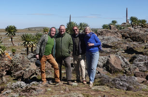 Patrick Blanc, Guy Levene, Pascal Heni and Yvonne Levene among Lobelia rhynchopetalum individuals, Sanetti Plateau, Bale NP, Ethiopia, Jan. 2019