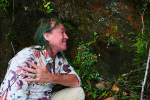 Patrick Blanc happy close to the brown bullate leaves and bright orange flowers of Gesneria shaferi on a vertical seeping rock, La Farola, Baracoa, Cuba, Feb. 2017