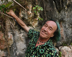 Patrick Blanc having climbed along the vertical limestone cliff to observe a new Begonia species, Buntu Burake, Makale, 1050 m asl, South Sulawesi,June 2019