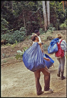 Patrick Blanc holding a bag of botanical samples, Radeau des Cimes, Canopy Raft expedition, Cameroon, 1991