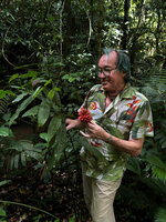 Patrick Blanc holding a decaying inflorescence of Zingiber kunstleri with persistant bright red backward recurved bracts, Taman Negara, Malaysia, Sept. 2025
