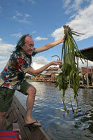 Patrick Blanc holding a huge form of Ottelia alismoides, Inle Lake, Myanmar, Dec. 2017