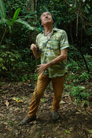 Patrick Blanc holding the 7 m long pendant inflorescence axis of Chisocheton penduliflorus, Queen Sirikit BG, Chiang Mai, Thailand, Oct. 2023