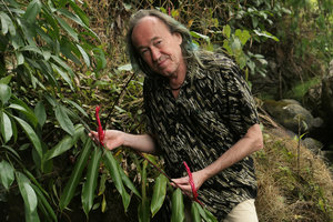 Patrick Blanc holding the flowering stems of the epiphytic Rhynchanthus johnianus, Putao, Kachin, Myanmar, Dec. 2017